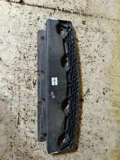 Защита бампера на Nissan Skyline PV36 Фото 3