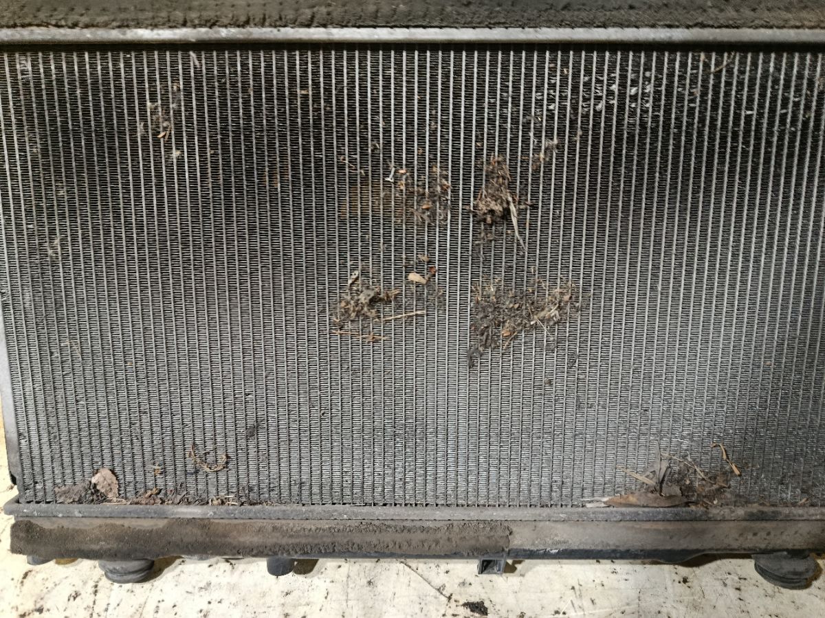 Радиатор ДВС на Subaru Legacy BM9 EJ253 Фото 4