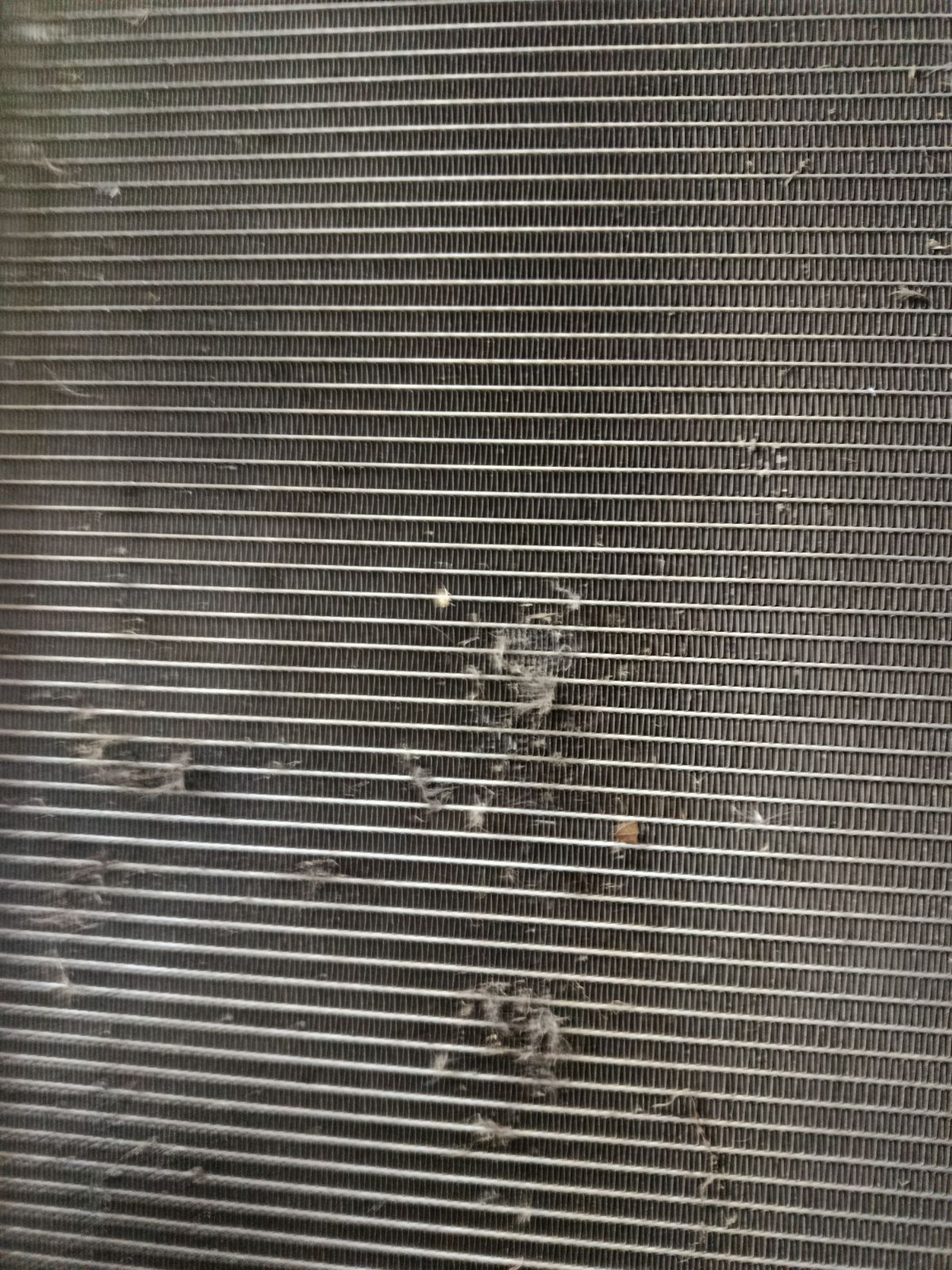 Радиатор ДВС на Subaru Legacy BM9 EJ255 Фото 3