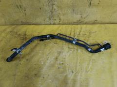 Заливная горловина топливного бака на Toyota Noah AZR60G 1AZ-FSE 77201-28240  77201-28290