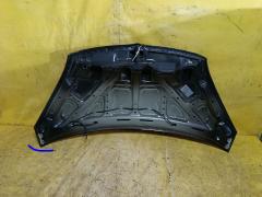 Капот 5900A051 на Mitsubishi Colt Z21A Фото 6