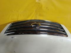 Капот на Nissan Teana J32 Фото 3