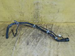 Заливная горловина топливного бака на Toyota Noah AZR60G 1AZ-FSE 77201-28240  77201-28290