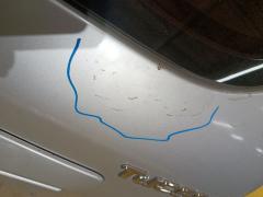 Дверь задняя на Hyundai Tucson JM Фото 3