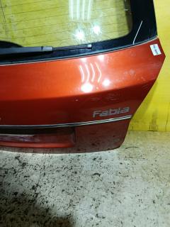 Дверь задняя на Skoda Fabia 5J Фото 5