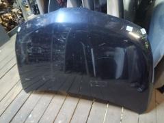 Капот DS20100A, F5100 ED0MM, F5100ED0MM, F510M ED0MA, F510MED0MA, NS01080AA, STDTW50150, SYNS036G002 на Nissan Tiida C11 Фото 7