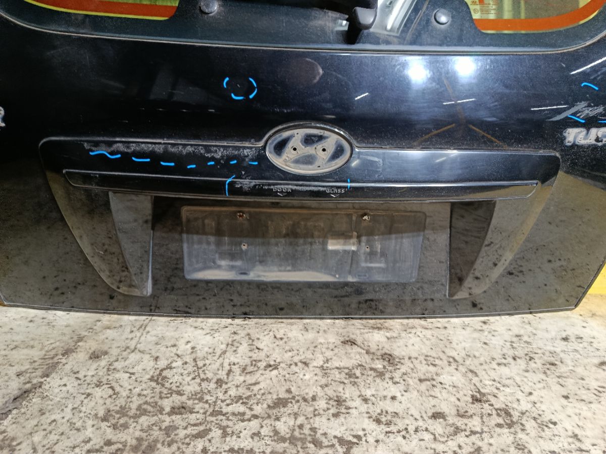 Дверь задняя на Hyundai Tucson 1 JM Фото 7