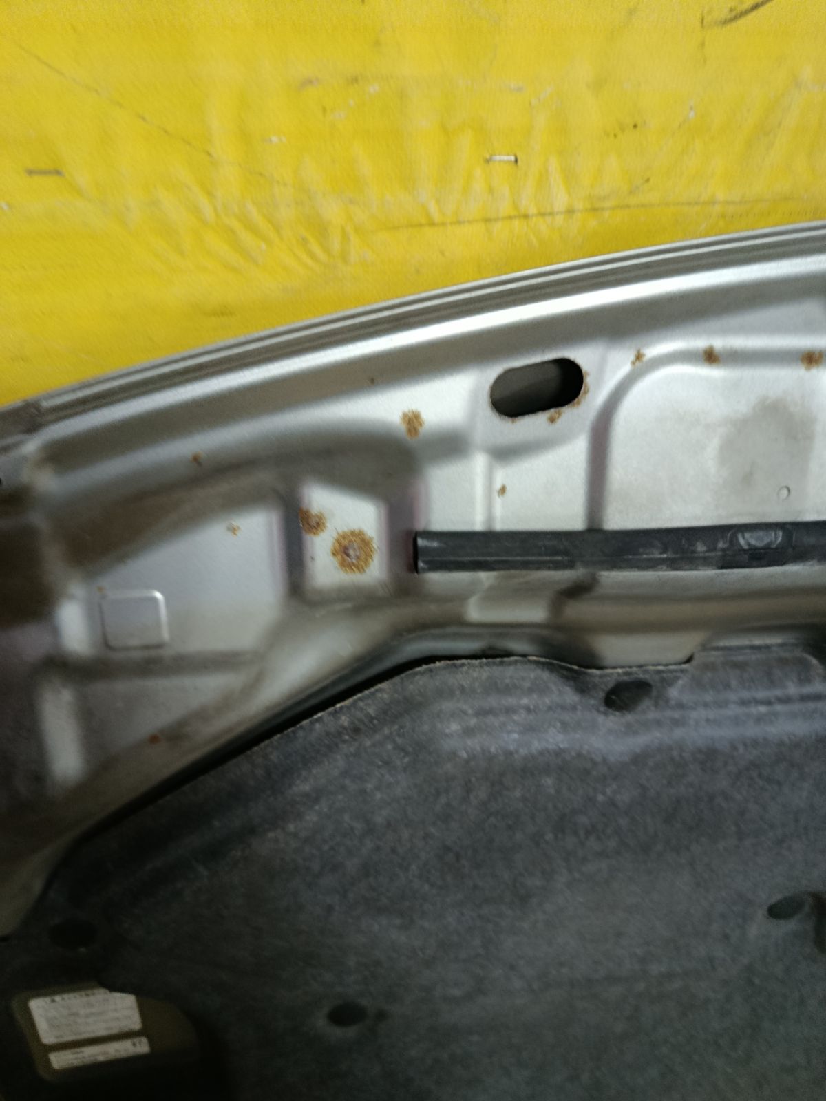 Капот на Nissan Wingroad WFY11 Фото 5