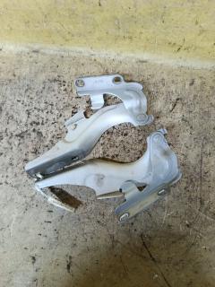 Крепление капота на Nissan Teana J32