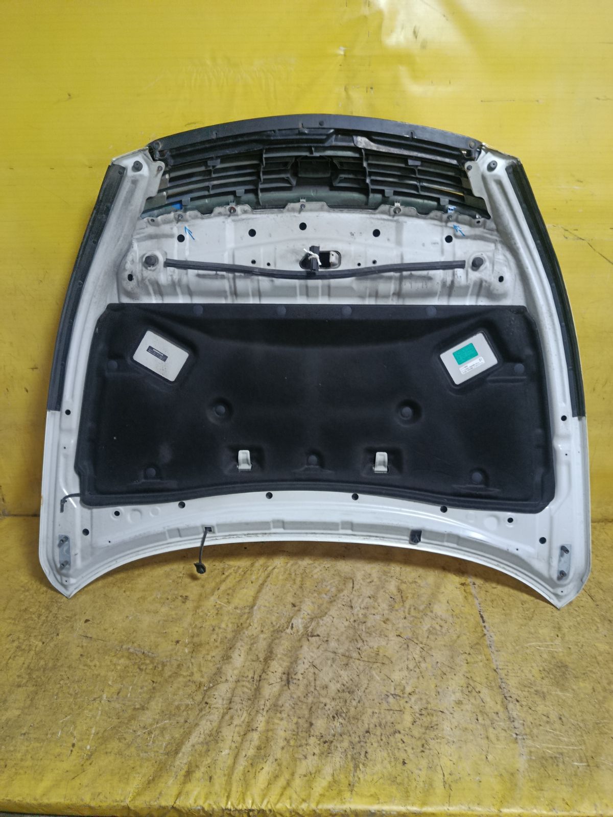 Капот на Nissan Teana J32 Фото 3
