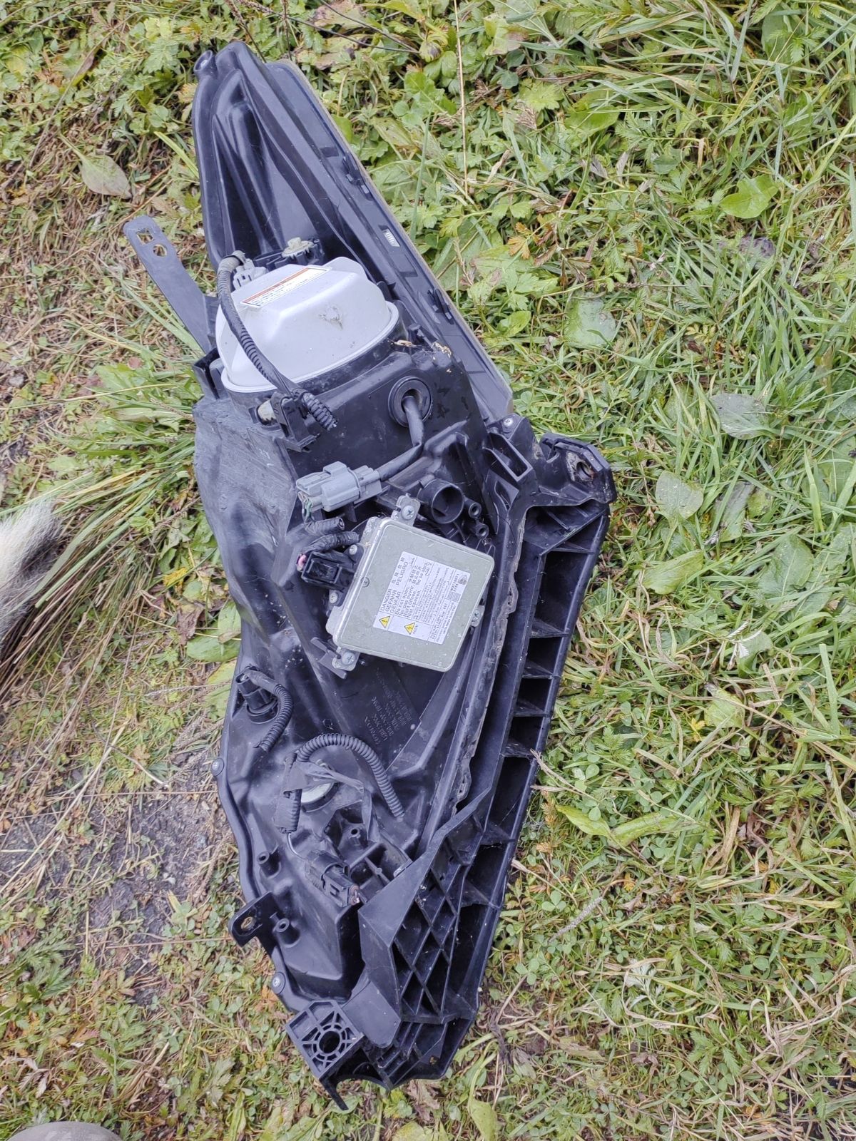 Фара 100-62054 100-62054 на Honda Freed GP3 Фото 4