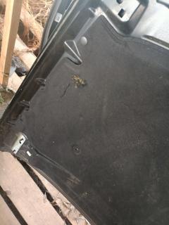 Капот 55396971AC на Jeep Cherokee KK EKG Фото 7