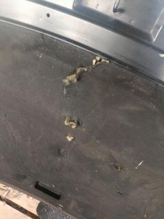 Капот 55396971AC на Jeep Cherokee KK EKG Фото 8