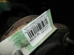 Стойка амортизатора на Toyota Corolla Fielder NZE144G 1NZ-FE Фото 3