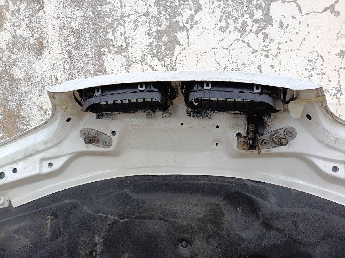 Капот 41618237725 на Bmw 3-Series E46-BN51 Фото 24