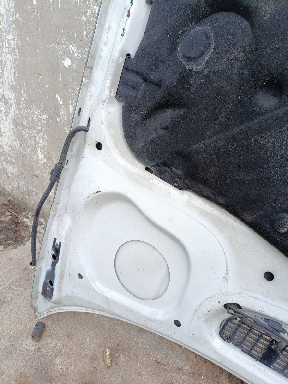 Капот 41618237725 на Bmw 3-Series E46-BN51 Фото 29