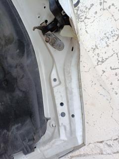 Капот 41618237725 на Bmw 3-Series E46-BN51 Фото 27