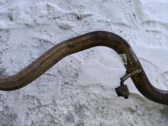 Глушитель на Mitsubishi Delica D:5 CV4W 4B11 Фото 20