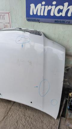 Капот 65100 51U30, DS20061A, F5100 51U30 на Nissan Cefiro Wagon WA32 Фото 13