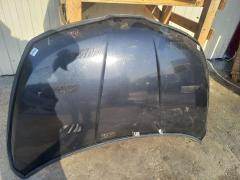 Капот DS20100A, F5100 ED0MM, F5100ED0MM, F510M ED0MA, F510MED0MA, NS01080AA, STDTW50150, SYNS036G002 на Nissan Tiida C11 Фото 7