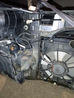 Ноускат на Honda Freed Spike GP3 Фото 33
