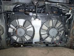 Ноускат на Honda Freed Spike GP3 Фото 34