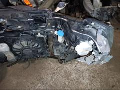 Ноускат на Honda Freed Spike GP3 Фото 40