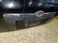 Дверь задняя на Hyundai Tucson I JM Фото 6