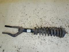 Стойка амортизатора на Honda Cr-V RD1 B20B 104301  1060140022  110222  19-219110  20020218  219530  280 641  30-B28-A  30-H05-A  305873  313 186  313186PCSMS  341260  341260F  351631070000  383561EGT  40248  402482  42130019  42130019SX  42130076  42130076SX  51601S10024  51601S10A11  51605-S10-024  51605-S10-A01  51605S10A01  741065  854S0412  A21001  AG1260  ASA03037  B341260  CR-049-7702  CR-049F-RD1  CR9003  D7005  DF341260  DG02086  DH1139  DSA341260  DSF062G  DV1294  G12126LR  G41242004  GSA341260  H62525I  J5504003G  JAA0088  JAA088A  JAPMM40024  JSA341260  K3501469G  M8011140  MA40024  MJ40024  MM40024  MT341260  MVN25079  NSF9413  PJJ004F  PPK10102  PPK10202  PSA341260  QH03110800  R084076G  S371NY  SG2539  SJ-049-7702  SJ-049F-RD1  SSB1631GN  ST-049-7702  ST-049F-RD1  ST51602S10A11SE  ST51605S10A01  SX11021F  TAA1029  U3738  V31052  VKF313186, Переднее Правое расположение