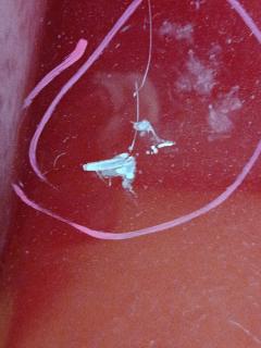 Капот на Mazda Atenza GJ2FW Фото 5