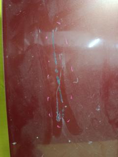 Капот на Subaru Forester SG5 Фото 8