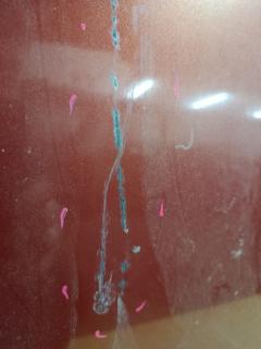 Капот на Subaru Forester SG5 Фото 9