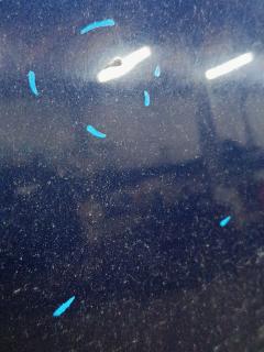 Капот на Volkswagen Golf Variant 1K BWA Фото 7