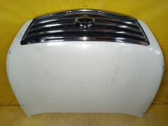 Капот на Nissan Teana TNJ32 QR25DE Фото 4