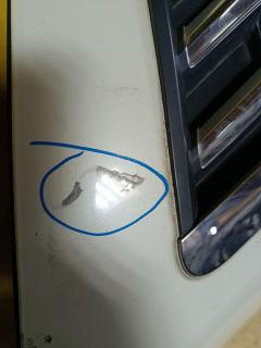 Капот на Nissan Teana TNJ32 QR25DE Фото 6