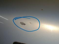 Дверь задняя на Nissan Cube ANZ10 Фото 3