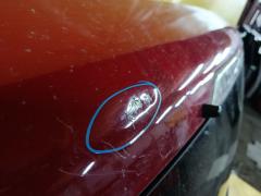 Дверь задняя на Nissan X-Trail NT31 Фото 5