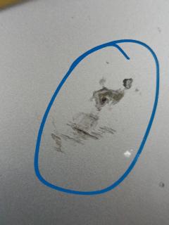 Крыло переднее на Bmw Z4 E85 Фото 4