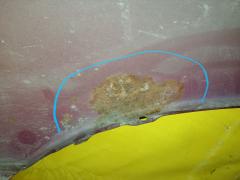 Крыло переднее на Subaru Forester SG5 Фото 8