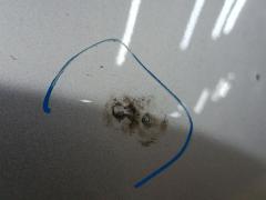 Крыло переднее 53811-12A40, TY10249ARJ на Toyota Corolla Fielder NZE144G Фото 4