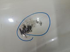 Крыло переднее на Nissan Bluebird Sylphy QG10 Фото 4