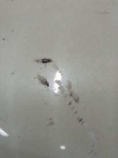 Крыло переднее на Nissan Teana TNJ32 Фото 5