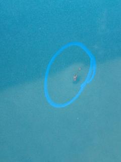 Капот на Nissan Note E11 Фото 6