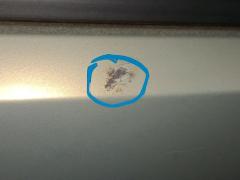 Дверь боковая на Toyota Passo KGC10 Фото 5