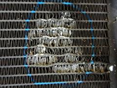 Радиатор кондиционера на Honda Stream RN6 R18A Фото 2