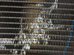 Радиатор кондиционера на Honda Odyssey RC1 K24W Фото 4