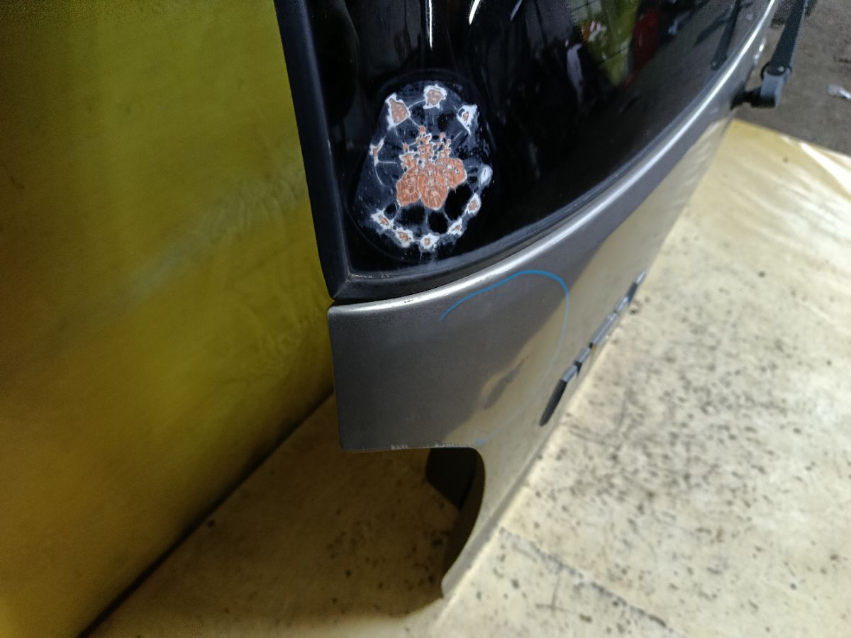 Дверь задняя на Mazda Mpv LW3W Фото 4