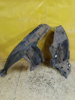 Подкрылок на Nissan Elgrand TE52 QR25DE, Переднее Левое расположение