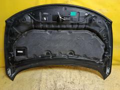 Капот 274903, 6087100, DS20119A, DT62201500000, F510M 1AAMA, F510M1AAMA, FEA0M1AAMA, FEAOM1AAMA, L04811, NI414011, NNMUR08330, NNMUR08331, NNMUR08641, PDS20119A, STDTG60150 на Nissan Murano TNZ51 Фото 6