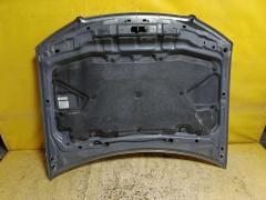 Капот DS20077A, F5100 4M5MM на Nissan Bluebird Sylphy QNG10 Фото 5